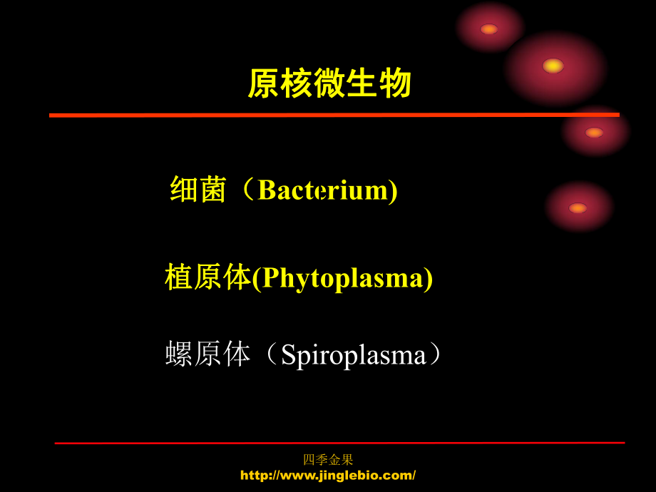 最新园林植物病理学第三章植物病原细菌和其它原核生物PPT课件.ppt_第2页