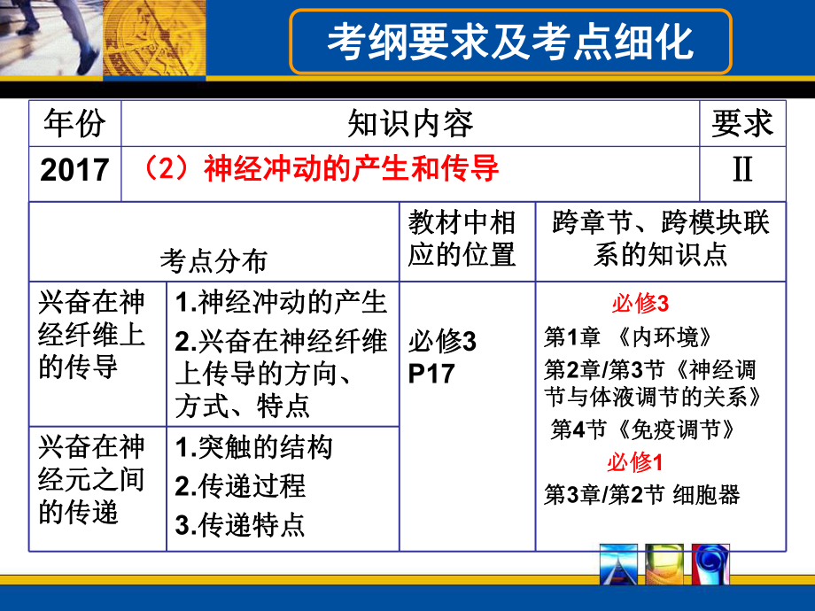 兴奋的传导与传递(一轮复习)ppt课件.pptx_第2页