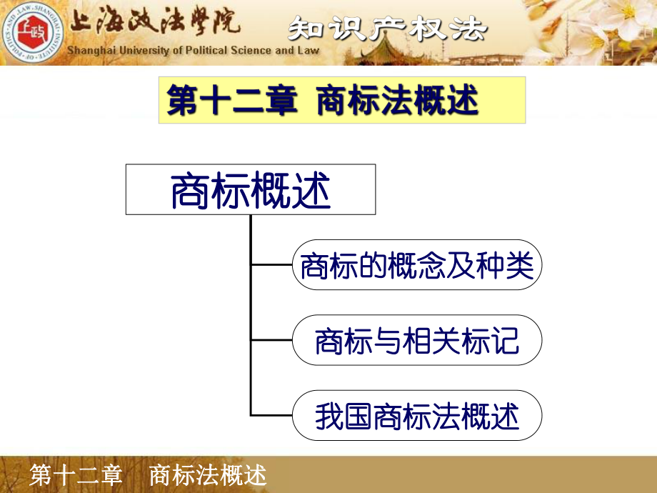 最新商标法律制度幻灯片.ppt_第2页