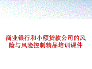 最新商业银行和小额贷款公司的风险与风险控制精品培训课件精品课件.ppt