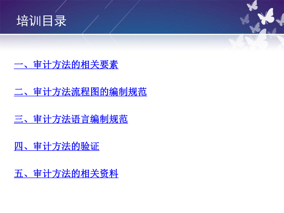 计算机审计方法培训课件.pptx_第2页