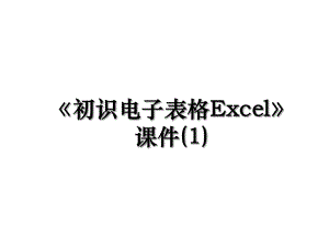 《初识电子表格Excel》课件(1).ppt