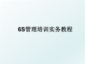 6s培训实务教程.ppt