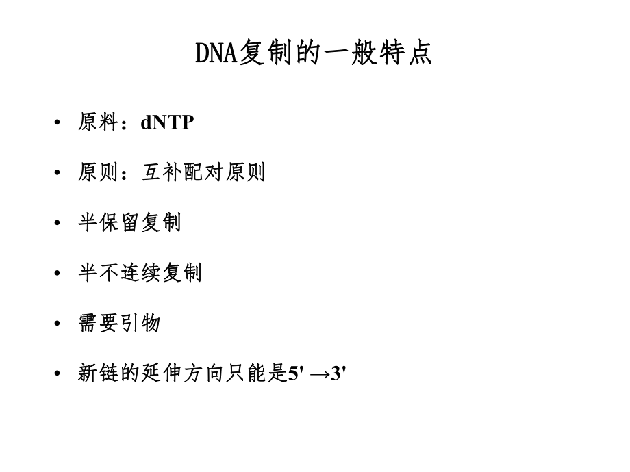 最新复制转录翻译PPT课件.ppt_第2页