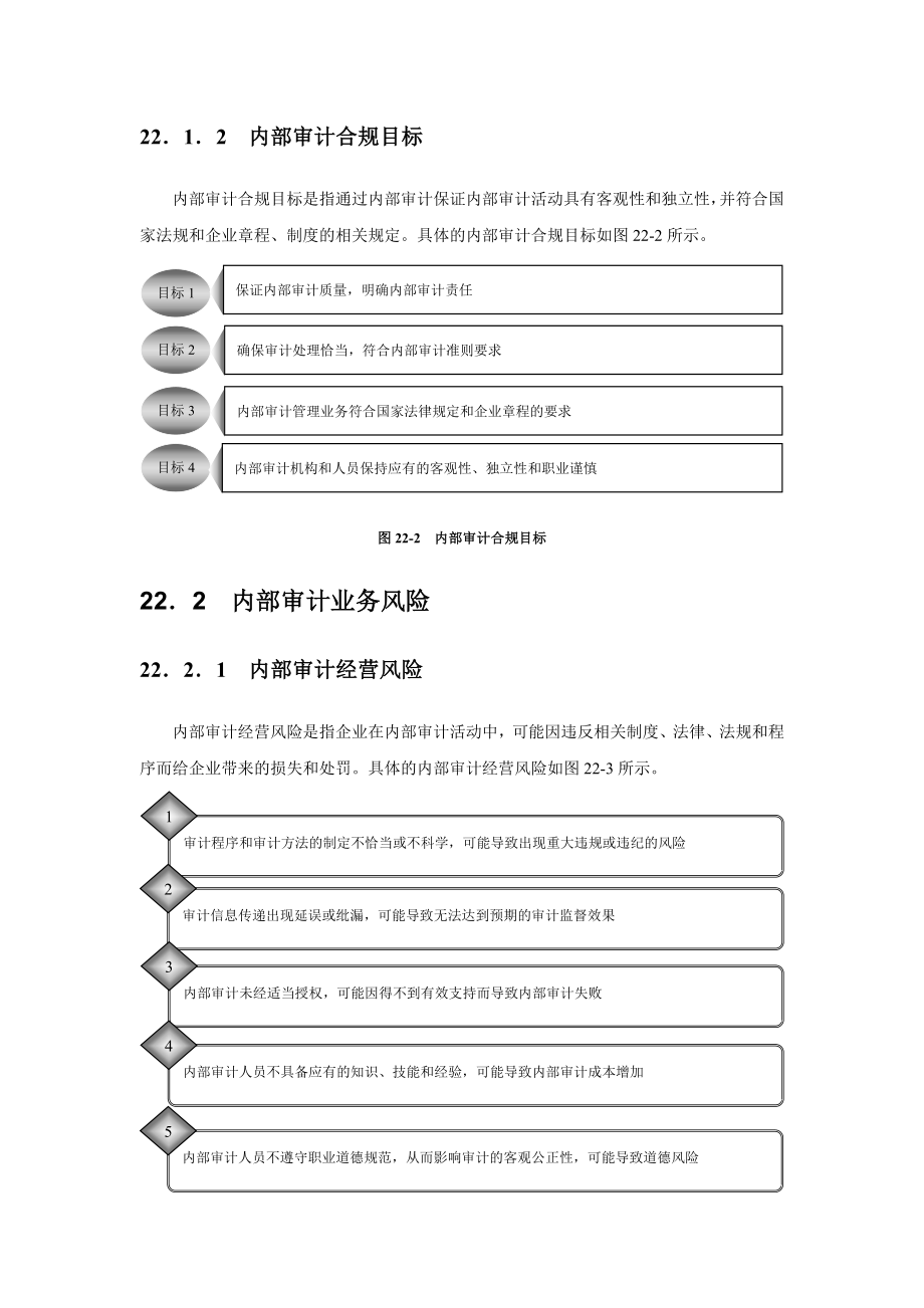 内部审计业务风险与业务流程.docx_第2页