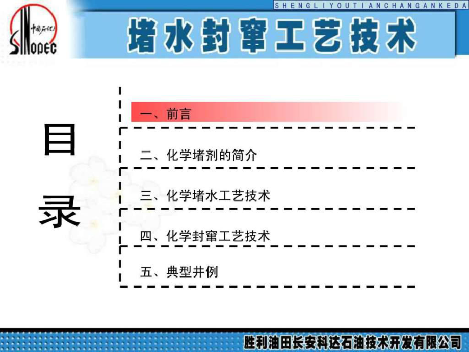 最新堵水工艺技术(胜利)a幻灯片.ppt_第2页