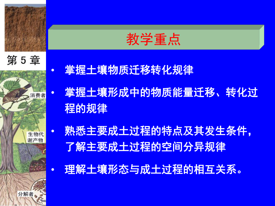 最新土壤地理学,第5章土壤形成过程幻灯片.ppt_第2页