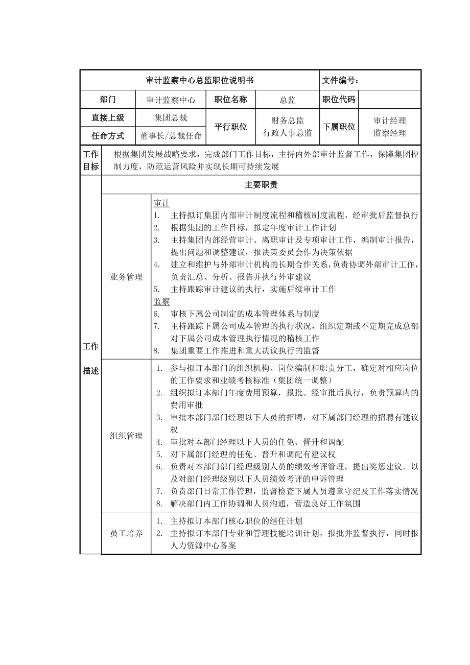 审计监察中心总监岗位说明书.docx_第1页