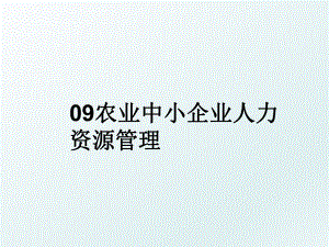 09农业中小企业人力资源.ppt