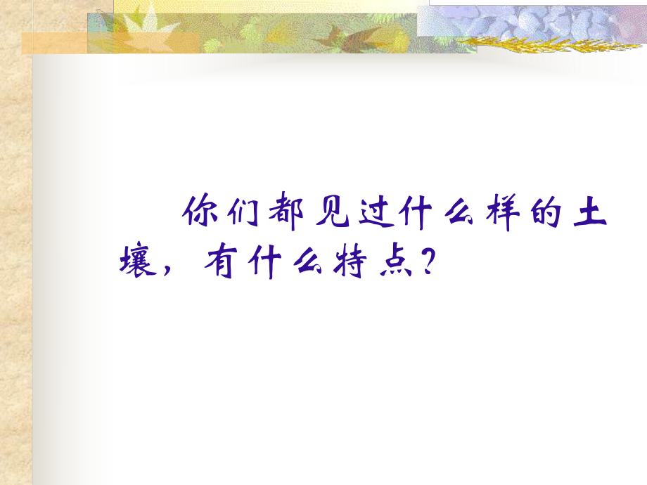 最新土壤与植物的生长PPT课件.ppt_第2页