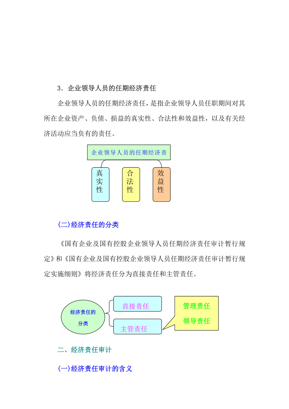 经济责任审计精要与案例专题讲座.docx_第2页