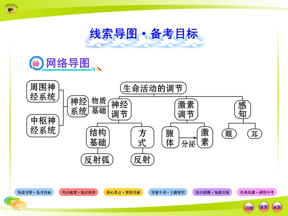 [初三理化生]人教版-初中生物--中考复习--七下---第四单元--第六章--人体生命活动的调节.ppt_第2页