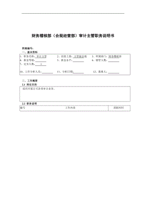 财务稽核部（合规经营部）审计主管职务说明书.docx