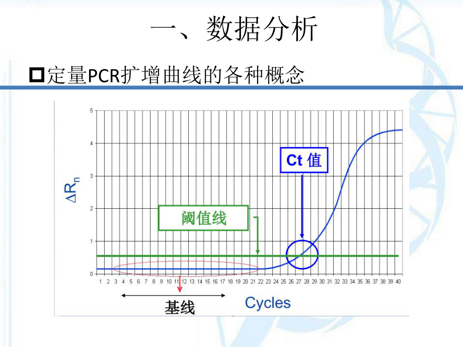 实时荧光定量PCR数据分析及常见问题分析ppt课件.pptx_第2页