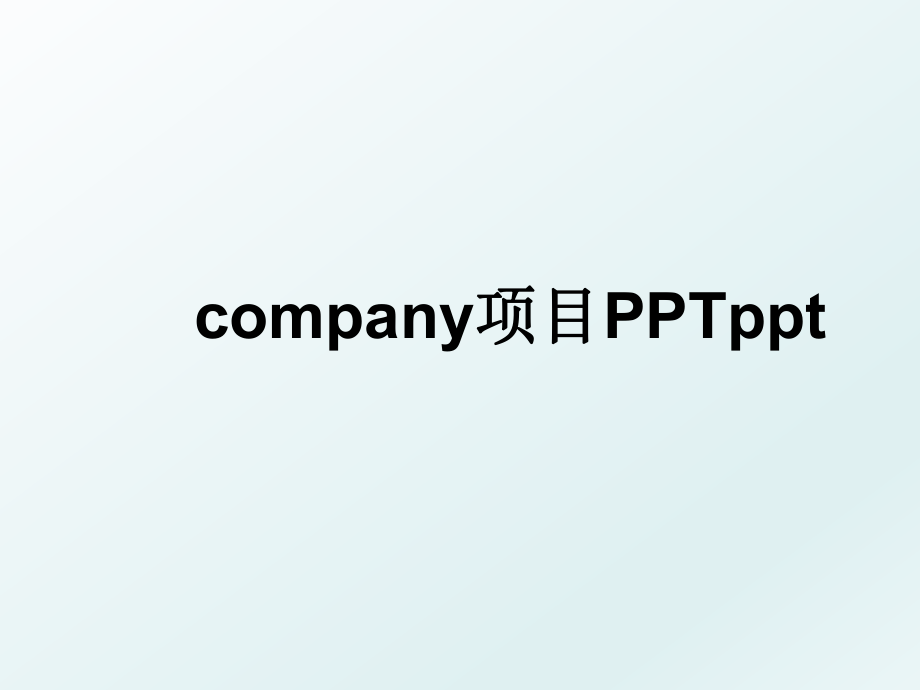 company项目PPTppt.ppt_第1页