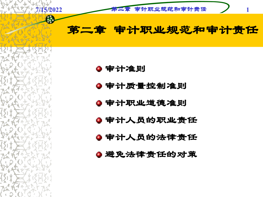 审计职业规范和审计责任.pptx_第1页