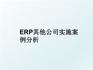 ERP其他公司实施案例分析.ppt