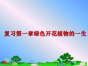 最新复习第一章绿色开花植物的一生幻灯片.ppt