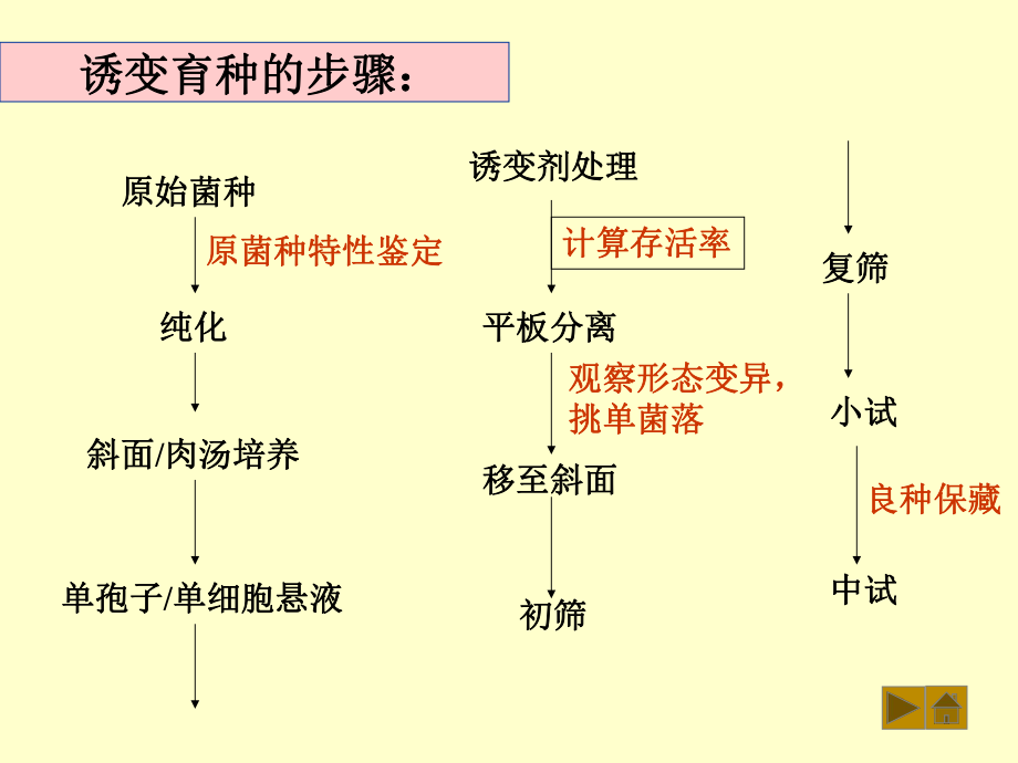 最新复旦普通微生物学课件42ppt课件.ppt_第2页