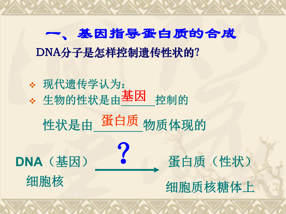 DNA的转录和翻译ppt课件.ppt_第2页