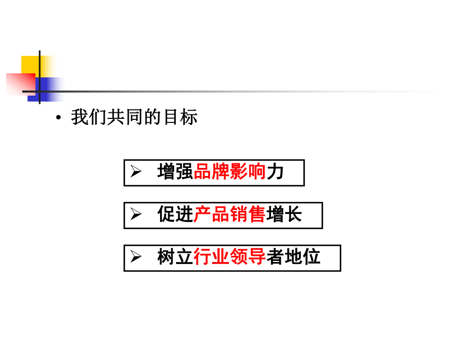 cmb神州数码系统有限公司-整合营销传播策略方案草案.ppt_第2页