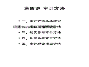 审计方法基本理论概述.pptx