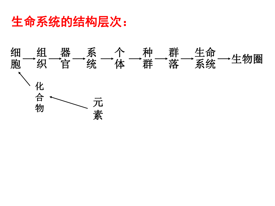 最新复习分子与细胞ppt课件.ppt_第2页