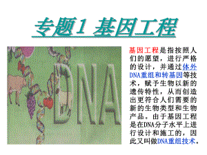 DNA重组技术的基本工具--精华版ppt课件.ppt