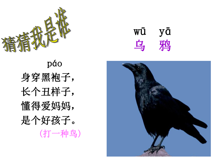 《乌鸦喝水》课件7.ppt_第2页