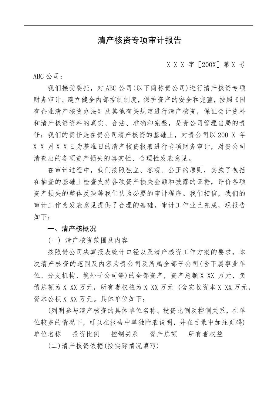 清产核资专项审计报告.docx_第1页