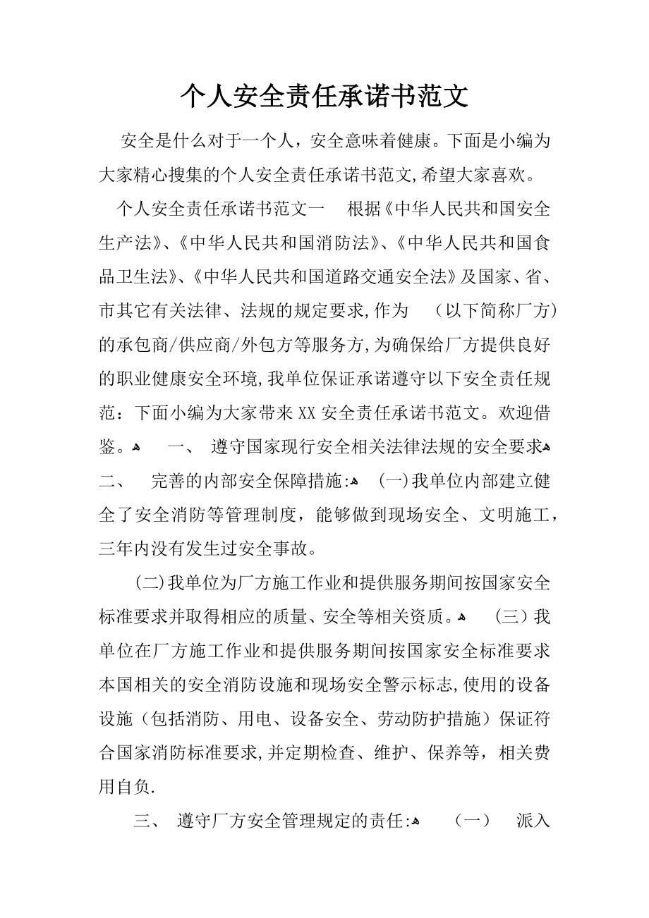 个人安全责任承诺书范文【可编辑范本】.docx_第1页