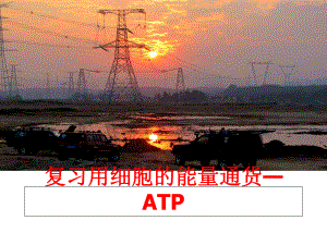 最新复习用细胞的能量通货—ATPPPT课件.ppt