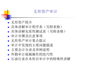 无形资产审计讲义PPT.pptx