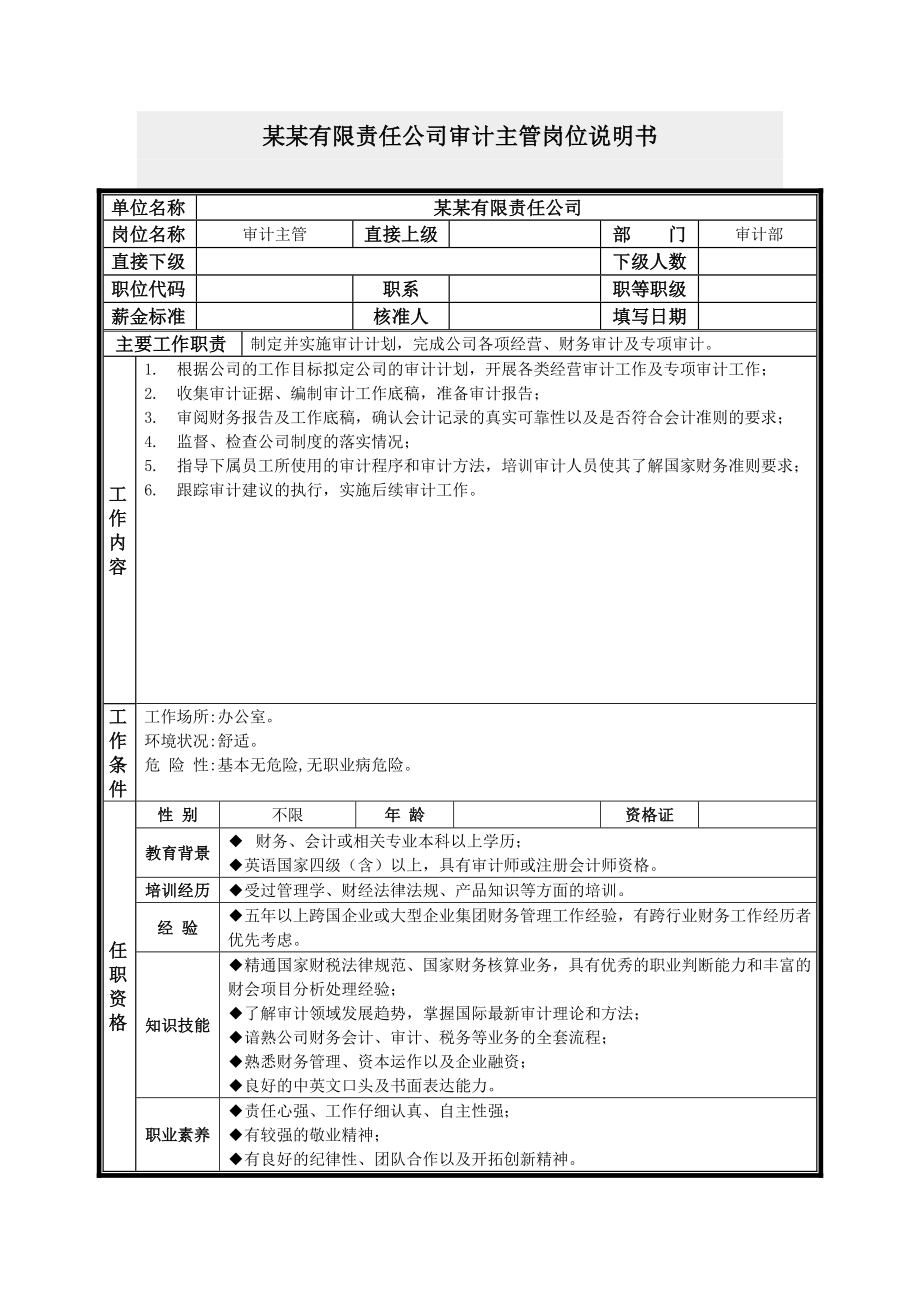 审计主管岗位说明书.docx_第1页