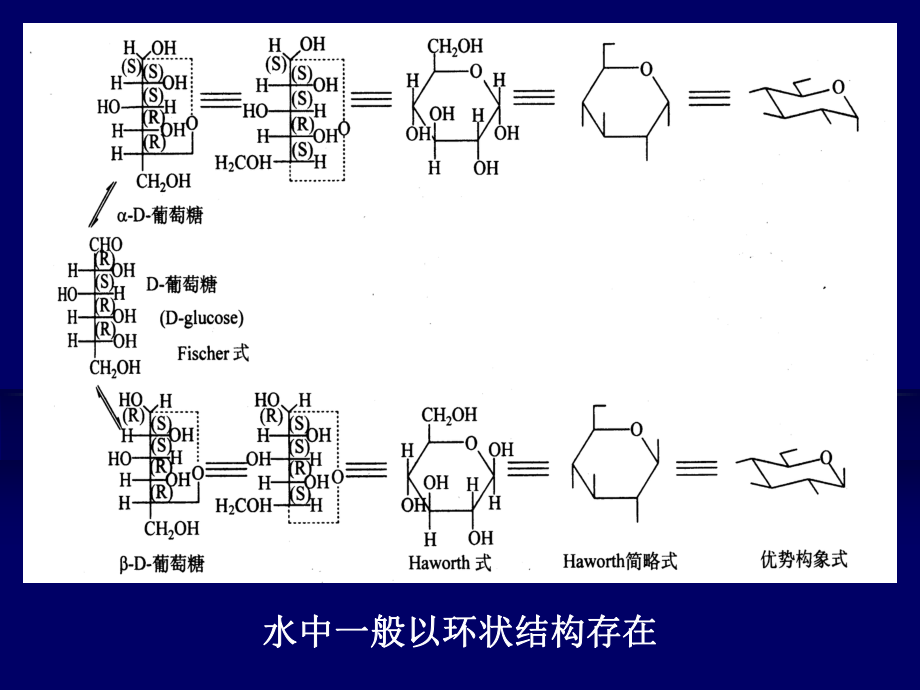 [经济学]第二章糖和苷.ppt_第2页