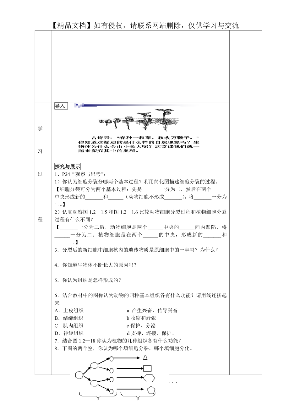 第二节细胞的分裂与分化.doc_第2页