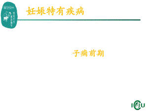 子痫前期治疗及护理ppt课件.ppt