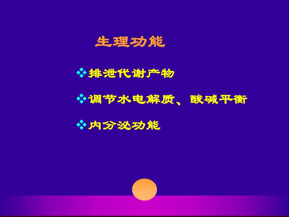 [理学]人体器官—肾脏课件.ppt_第2页