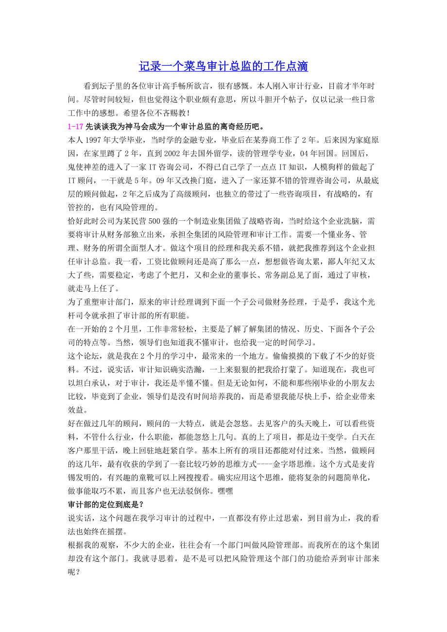 记录一个菜鸟审计总监的工作点滴.docx_第1页