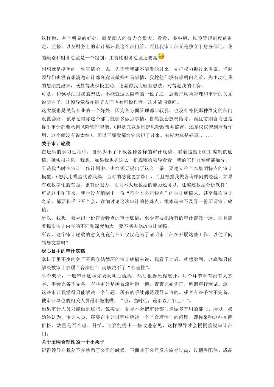 记录一个菜鸟审计总监的工作点滴.docx_第2页