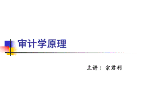 审计学原理（PPT 51页）.pptx