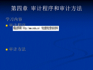 审计程序与审计方法综述.pptx