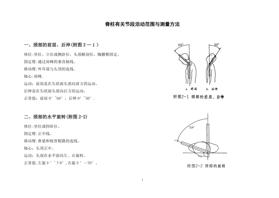 专科检查【可编辑范本】.doc_第1页