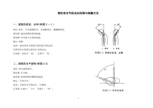 专科检查【可编辑范本】.doc