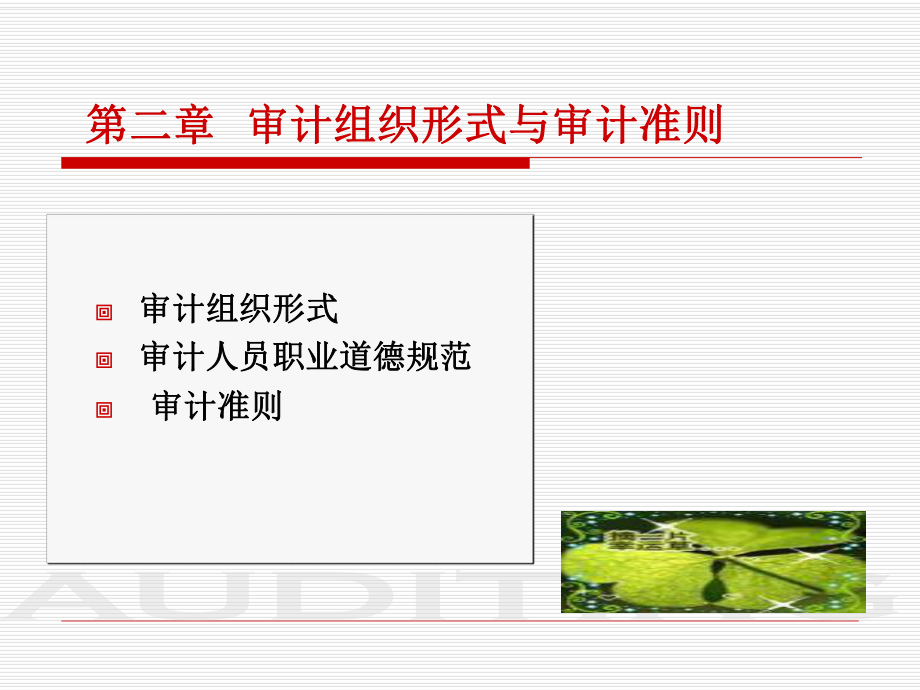 审计组织形式与审计准则(ppt 57页).pptx_第1页