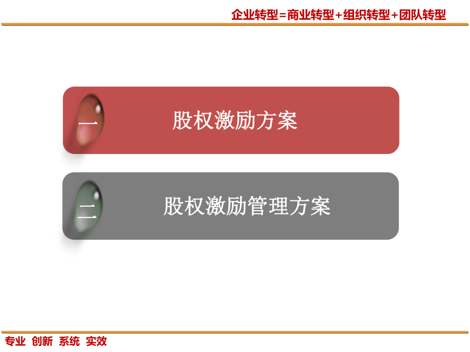 股权激励(10定).pptx_第2页