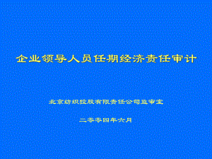 企业领导人员任期经济责任审计培训课件.pptx