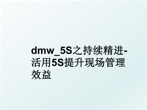 dmw_5s之持续精进-活用5s提升现场效益.ppt