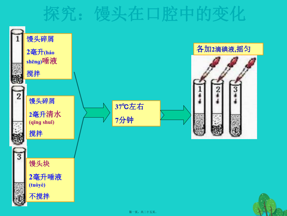 最新七年级生物下册 4_2_2 消化和吸收课件 新人教版(共25张PPT课件).pptx_第1页