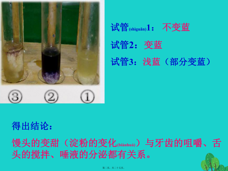 最新七年级生物下册 4_2_2 消化和吸收课件 新人教版(共25张PPT课件).pptx_第2页